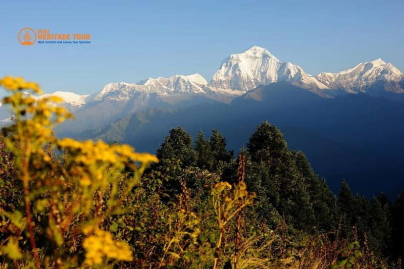 Pokhara: 4-Day Ghorepani Poonhill Short Trek - FAQ
