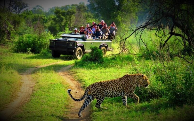 Pokhara : 4 Day Lumbini and Chitwan Safari Tour By Car - Who Should Book This Tour?
