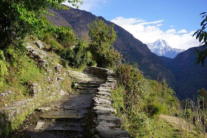 Pokhara: 4 Day Poon Hill Trek - Day 2: Climbing to Ghorepani