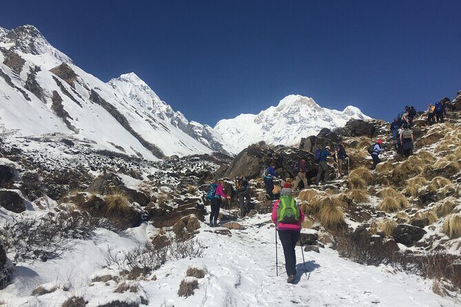 Pokhara: 4 Day Poon Hill Trek - Highlights and Practical Tips