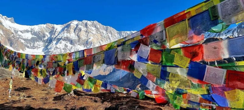 Pokhara: 5-Day Annapurna Base Camp Trek with Hot Spring - FAQ: Common Questions About the Annapurna Base Camp Trek