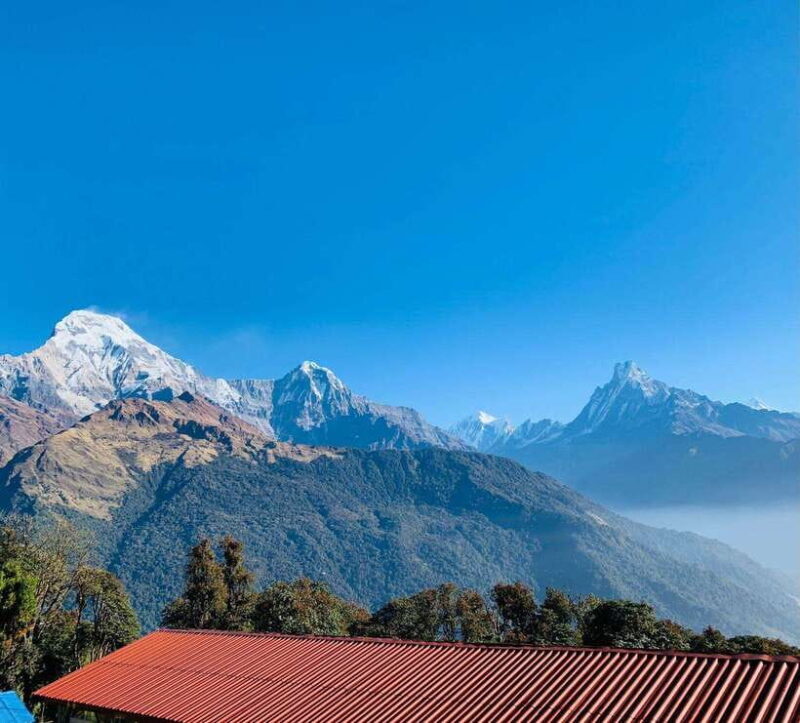 Pokhara: 5-Day Annapurna Poon Hill Trek and Chitwan Tour - Breaking Down the Itinerary