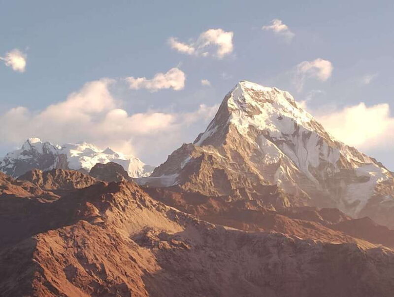 Pokhara: 5-Day Annapurna Poon Hill Trek and Chitwan Tour - Authentic Experiences and Traveler Feedback