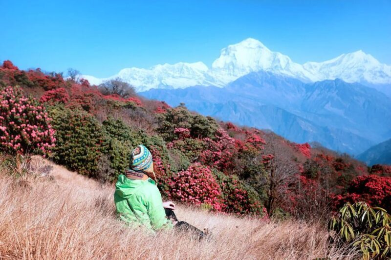 Pokhara: 5-Day Ghorepani and Poon Hill Private Trek - Final Word