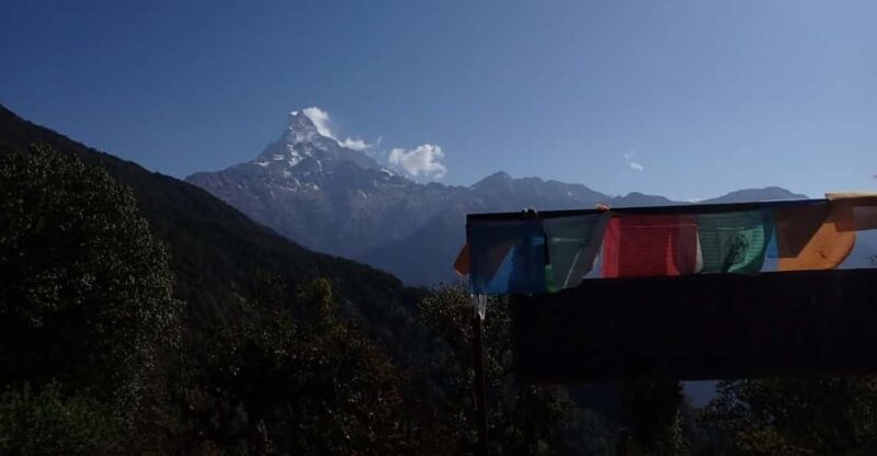 Pokhara: 5-Day Mardi Himal Base Camp Trek with Transfers - The Overall Experience