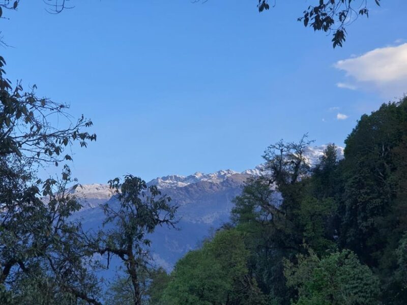 Pokhara: 5-Day Mardi Himal Base Camp Trek with Transfers - Authenticity and Cultural Encounters