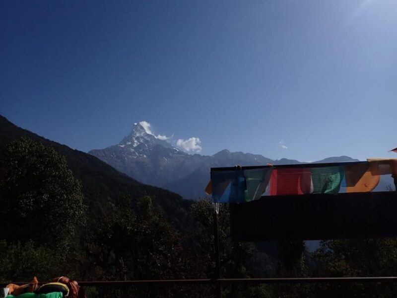 Pokhara: 5-Day Mardi Himal Base Camp Trek with Transfers - Final Thoughts