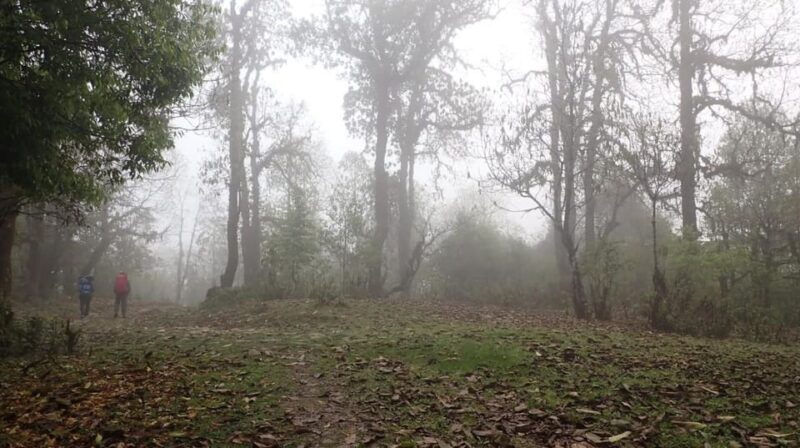 Pokhara: 5-Day Mardi Himal Base Camp Trek with Transfers - FAQs
