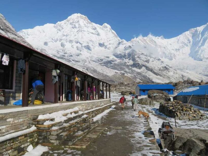 Pokhara: 5-Days Annapurna Base Camp Trek Guided Adventure - FAQs