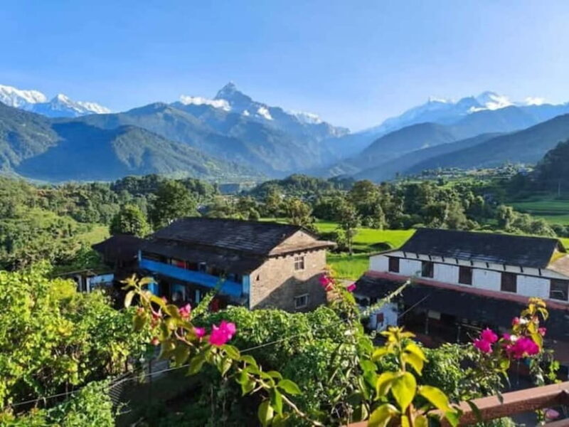 Pokhara: 5 Himalayan Viewpoints Guided Tour - The Itinerary: What to Expect on This Scenic Journey