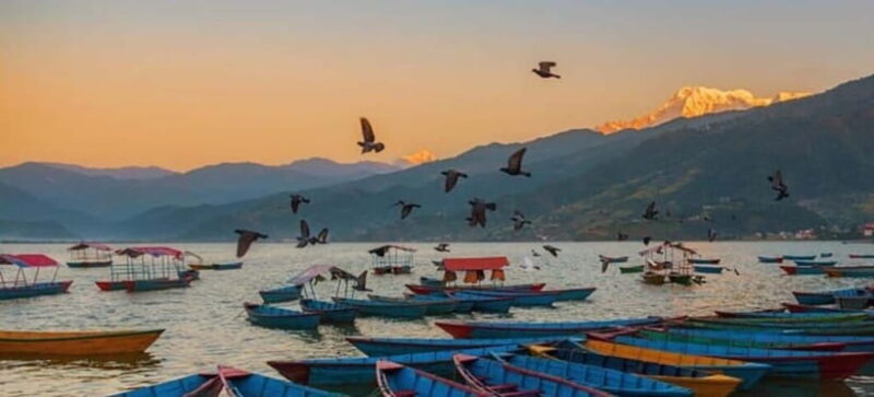 Pokhara: 5 Himalayan Viewpoints Guided Tour - The Cost and Value