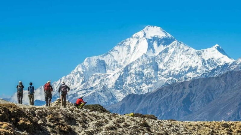 Pokhara: 7-Day Annapurna Base Camp Trek with Hot Spring - What to Expect from the Experience