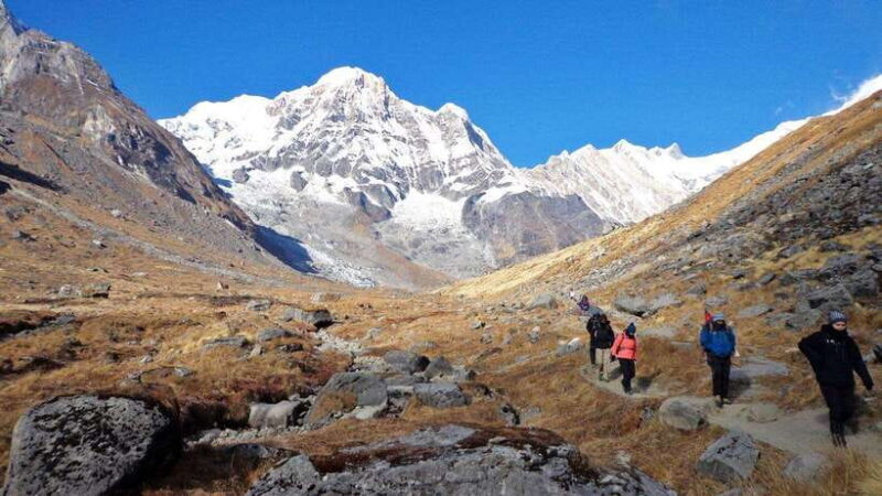 Pokhara : 7 - Day Annapurna Base Camp Trek with Hot Spring - The Full Experience: A Detailed Breakdown