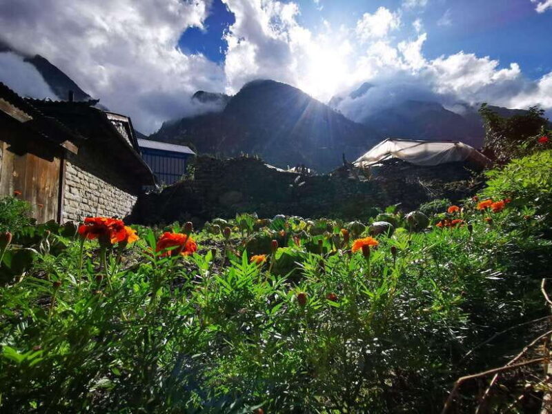 Pokhara : 7 - Day Annapurna Base Camp Trek with Hot Spring - Final Thoughts: Who Is This Trek Best For?