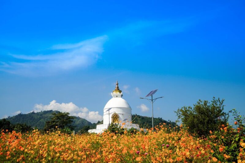 Pokhara: Amazing Day Hiking, Boating /Sunrise view tour - Who Would Enjoy This Tour?