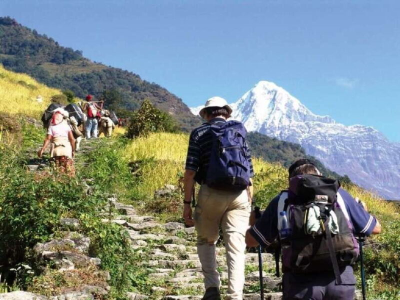 Pokhara: Annapurna Day Hike with Panoramic Views - Itinerary Breakdown: What to Expect