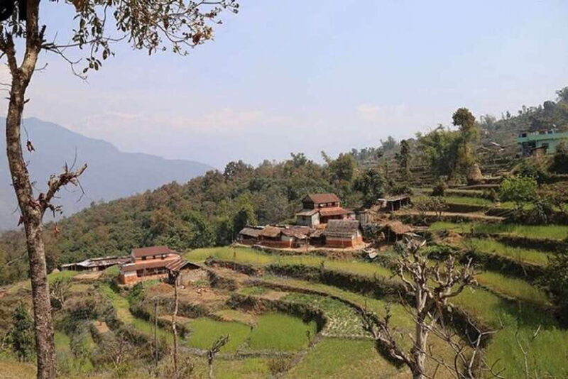 Pokhara: Annapurna Day Hike with Panoramic Views - The Value and Practicalities