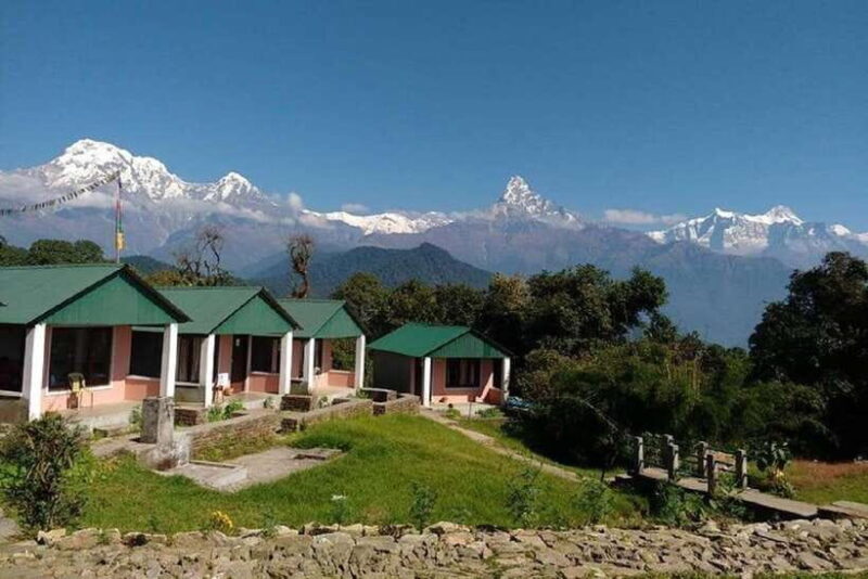 Pokhara: Annapurna Day Hike with Panoramic Views - Authentic Reviews and Insights