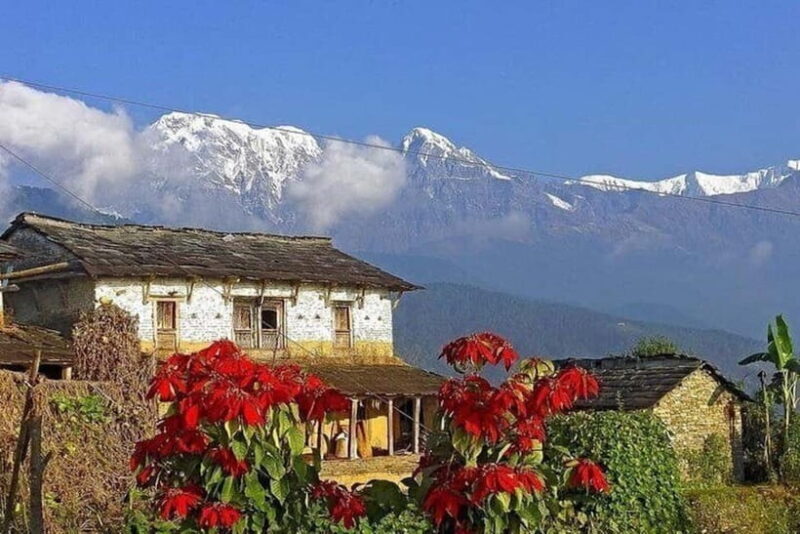 Pokhara : Day Hike To Australian Base Camp with Lunch - Authentic Traveler Reviews