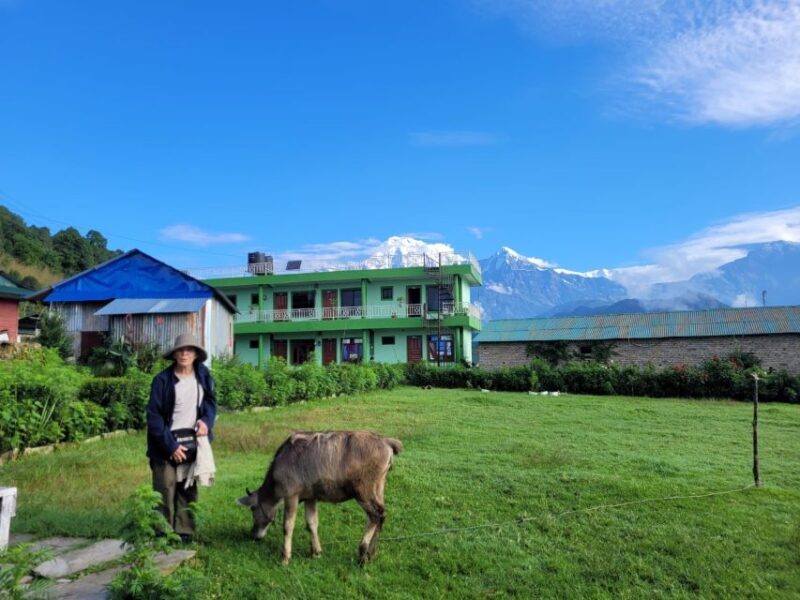 Pokhara: Day Hike to Australian Camp and Dhampus Village - Transportation and Logistics: Why They Matter