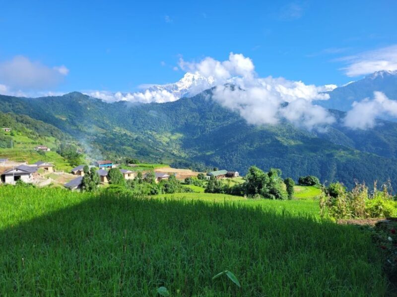 Pokhara: Day Hike to Australian Camp and Dhampus Village - Who Will Love This Tour?