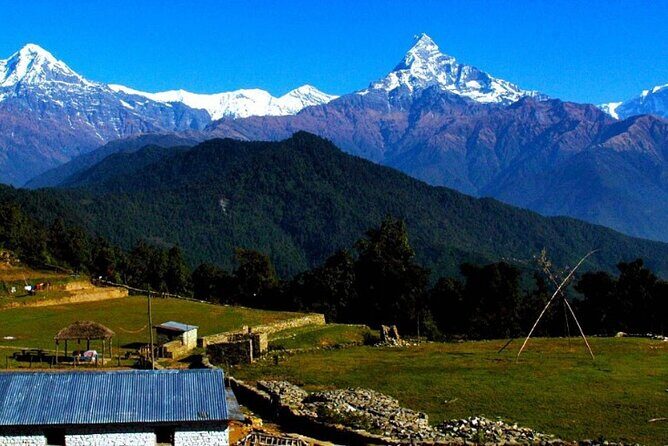 Pokhara: Easy Day Hike to Australian Camp & Dhampus Village - What Makes This Tour Stand Out?