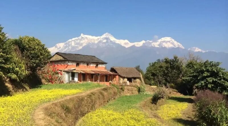 Pokhara : Easy Dhampus & Astam Village Day Hike - FAQs