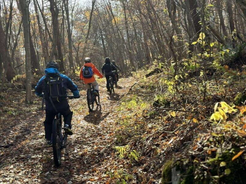Pokhara: Enduro Mountain Biking Adventure with Lunch - Key Points