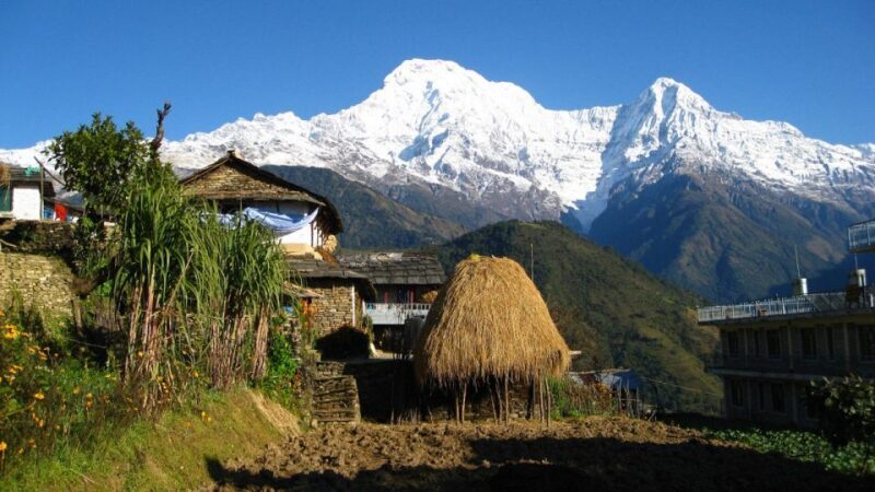 Pokhara: Guided Day Hike From Dampus To Australian Base Camp - Authentic Experiences According to Reviews