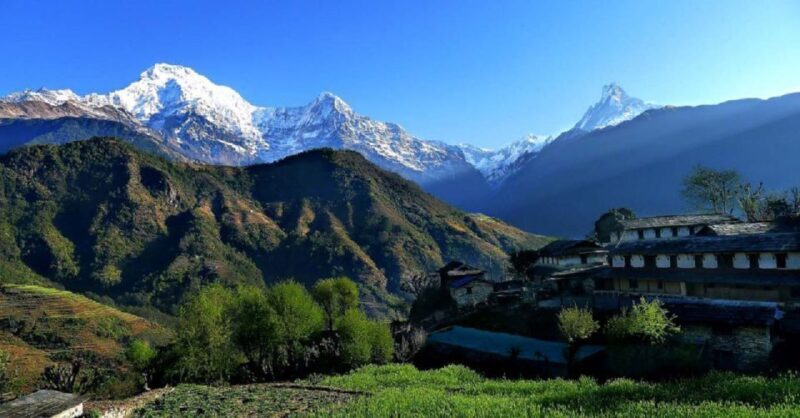 Pokhara: Guided Day Hike From Dampus To Australian Base Camp - The Sum Up