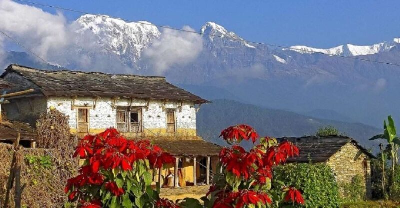 Pokhara: Guided Day Hike From Dampus To Australian Base Camp - FAQs