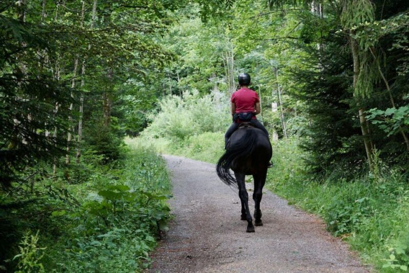 Pokhara: Horseback Adventure - The Practicalities: What’s Included and What to Expect
