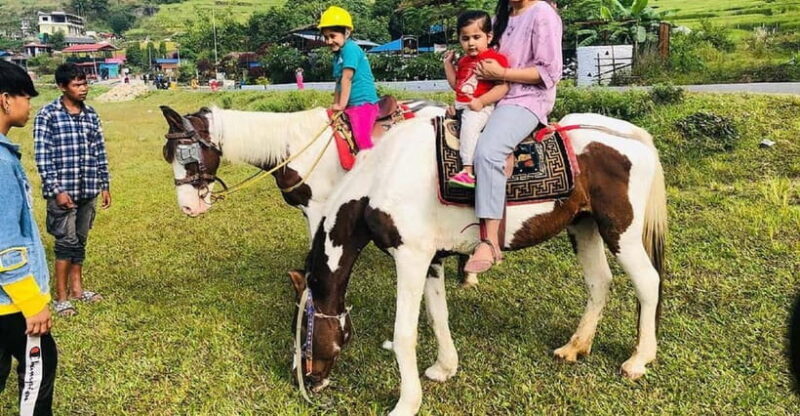 Pokhara: Horseback Riding Adventure with Hotel Pickup - Key Points
