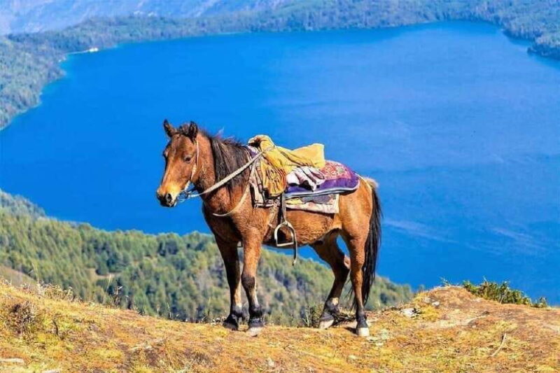 Pokhara: Horseback Riding Adventure with Hotel Pickup - What to Expect from the Horseback Riding Tour in Pokhara