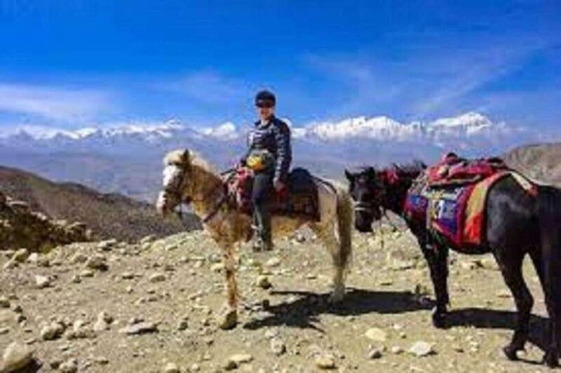Pokhara: Horseback Riding Adventure with Hotel Pickup - The Horses and Guides