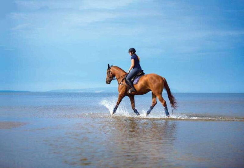 Pokhara: Horseback Riding Adventure with Hotel Pickup - Final Thoughts: Is This Tour Worth It?