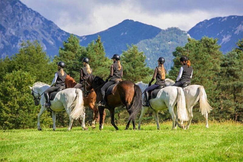 Pokhara: Horseback Riding Adventure with Hotel Pickup - FAQ