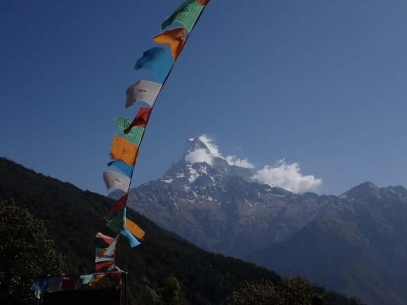 Pokhara: Mardi Himal 4-Day Trek with Guide and Lodging - Key Points