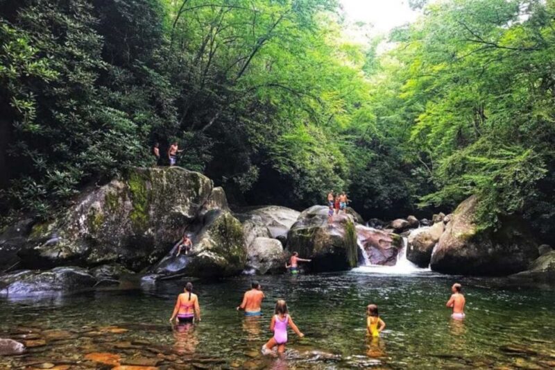 Pokhara: Natural Himalayan River Swim Experience Package - Key Points