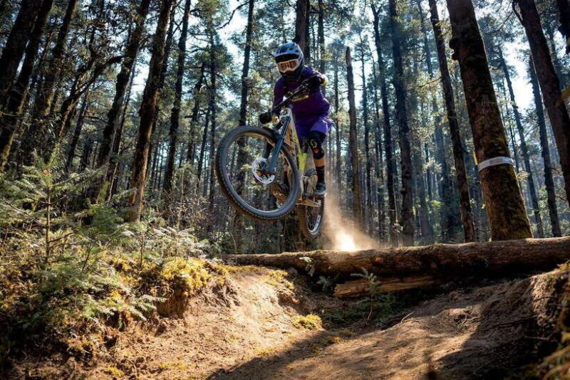 Pokhara: Peace Pagoda to Pokhara Downhill Mountain Bike Ride - Key Points