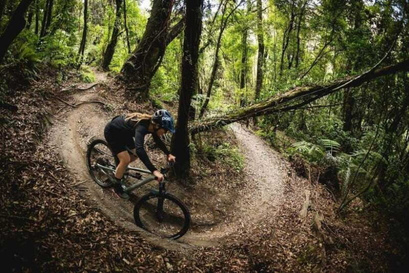 Pokhara: Peace Pagoda to Pokhara Downhill Mountain Bike Ride - Final Thoughts