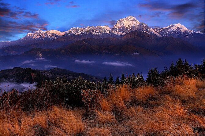 Pokhara: Poon Hill Ghorepani Short Trek - Why This Trek Is a Great Choice