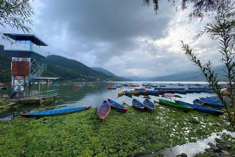 Pokhara: Pumdikot Shiva Idol Day Hike with Peace Stupa - Authenticity and Real Traveler Feedback