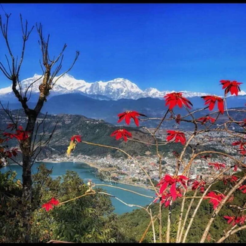 Pokhara: Sarangkot Sunrise And Private Full-Day Tour - The Itinerary: A Day in Pokhara