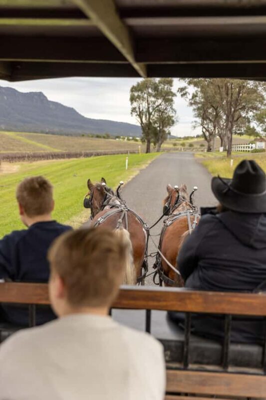 Pokolbin: Harvest the Hunter Horse Drawn Carriage Tour 3hrs - Authentic Feedback from Travelers