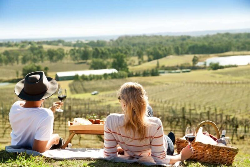 Pokolbin: Picnic & Wine Tasting at Audrey Wilkinson Vineyard - The Itinerary: A Gentle Tasting Journey