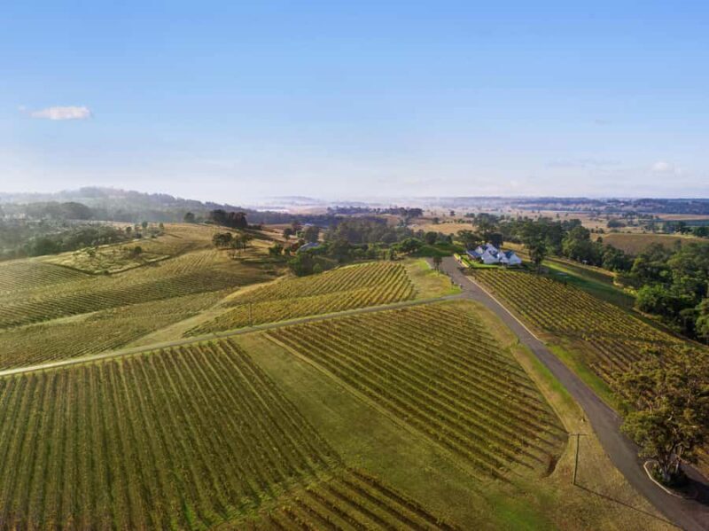 Pokolbin: Picnic & Wine Tasting at Audrey Wilkinson Vineyard - The Wine Tasting Experience