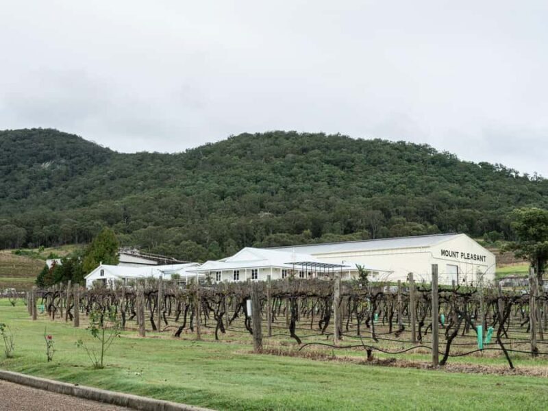 Pokolbin: The Mother Vine Experience | Tour and Wine Tasting - Final Thoughts on Value