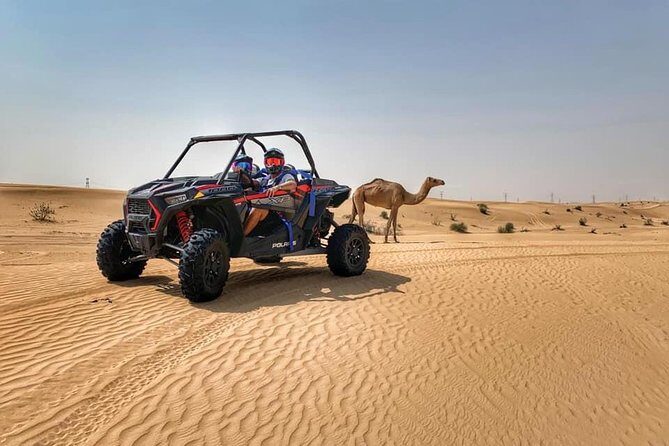 Polaris RZR 1000cc 2seater Desert Adventure Guided Tour - The Experience in Detail