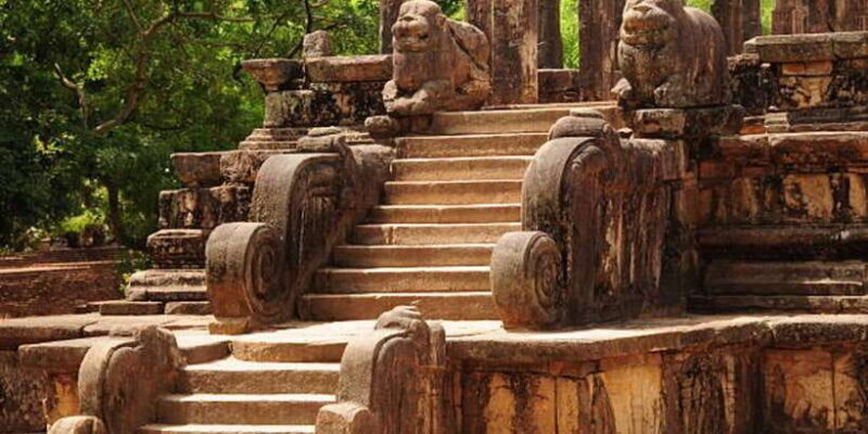 Polonnaruwa Day Tour With Minneriya NP Elephant Safari - An In-Depth Look at the Tour